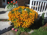 Debbie H from Everett