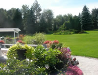Terrie from Markham, Diagonal View Of Back Garden
