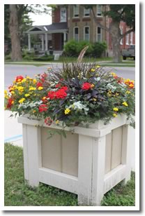 Creemore Planters