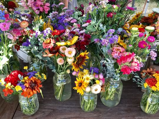 Dans' Fresh Cut Flowers