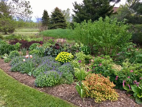 Display Gardens for Inspiration 