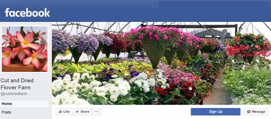 Facebook Page