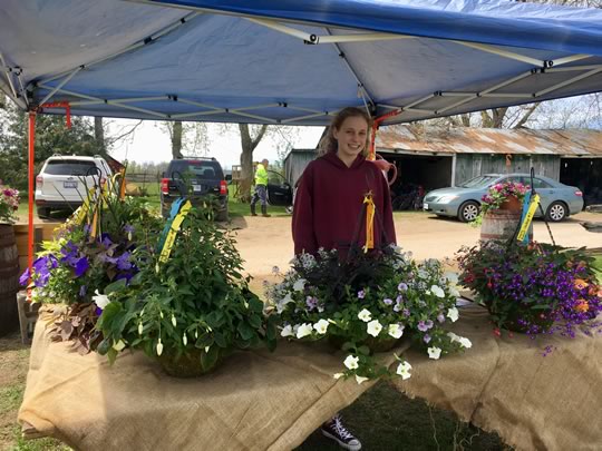 Willow at the Hanging Basket Challenge Tent