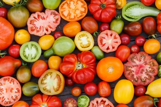 Heritage Tomatoes