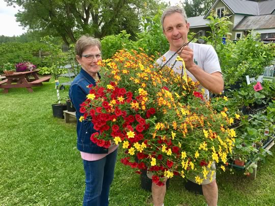 One of the vibrant basket winners