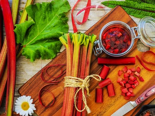 Grow your own rhubarb