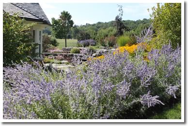 Gardening Inspiration