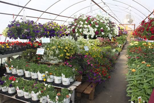 Greenhouses