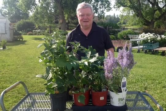 Alan Ropar with fall flowering perennials 