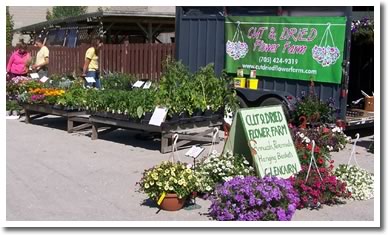 Creemore Farmers' Market
