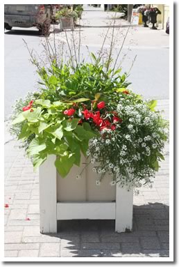 Creemore Planters