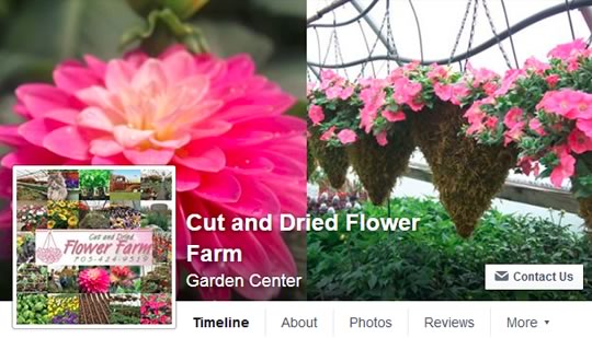 Flower Farm Facebook Page