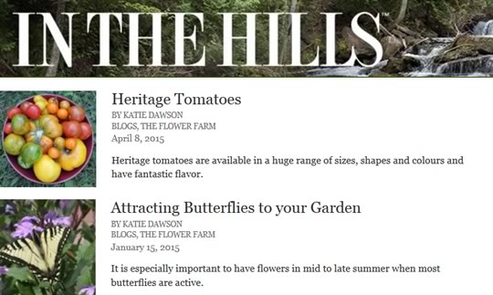 Follow our blog posts on ‘In the Hills’
