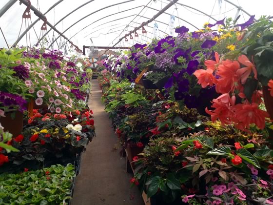 Greenhouses