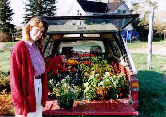Hanging baskets to market in the 1980s