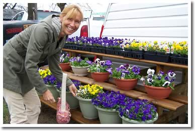 Pansies for Paws