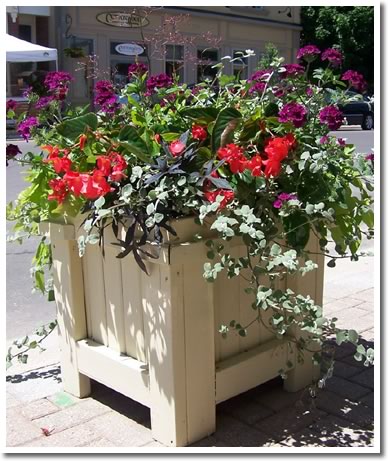 Creemore Planters