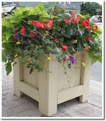 Creemore Summer Planters