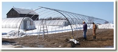 New Greenhouse