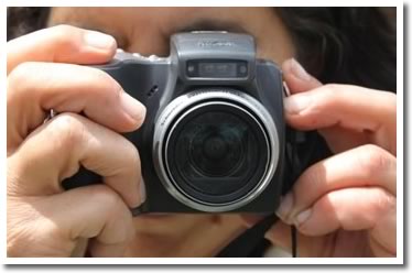 Flower Photo Contest
