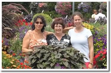 Plant Trials for 2011