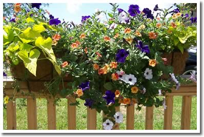 Railing Planters for Fences 