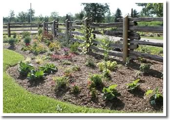 Display Garden Mulched