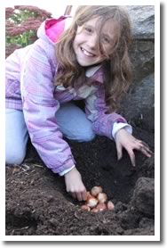 Planting Blubs in the Fall
