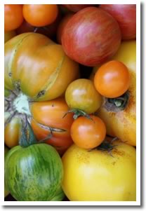 Heritage Tomatoes